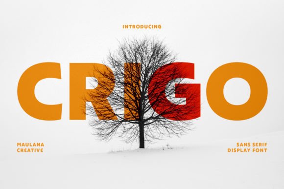 Crigo: The Bold Display Font for Modern Branding
