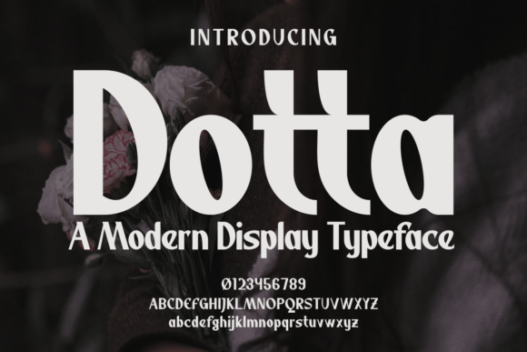 Elevating Brand Identity with the Bold Authenticity of Dotta