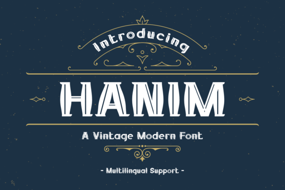 Hanim: Bridging Modern Precision and Vintage Soul